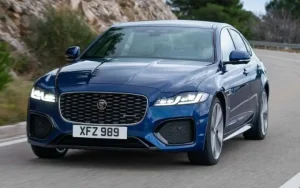 Các Hãng Khác Sử Dụng Biểu Tượng Báo Hoặc Linh Vật Tương Tự