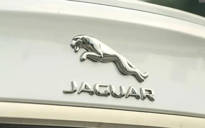 Jaguar: Nữ Hoàng Báo Gấm Trên Bốn Bánh Xe