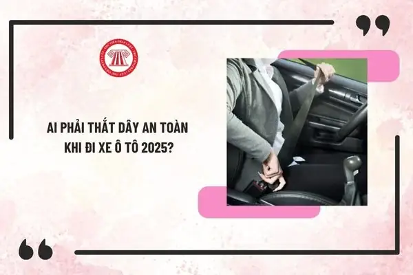 Ai Phải Thắt Dây An Toàn Khi Đi Xe Ô Tô 2025?