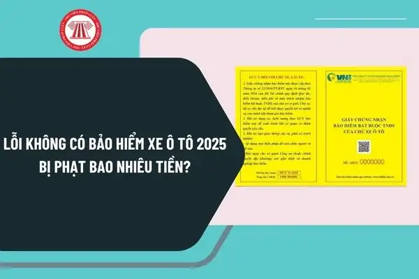 Lỗi Không Có Bảo Hiểm Xe Ô Tô 2025 Bị Phạt Bao Nhiêu Tiền?