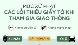 Lỗi Vi Phạm Không Có Bảo Hiểm Xe Ô Tô: Quy Định, Mức Phạt Và Cách Xử Lý