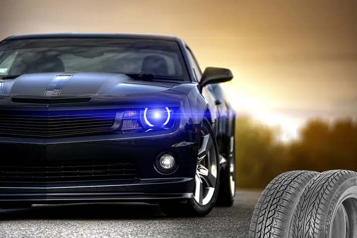 Hành Trình Casumina Phát ...