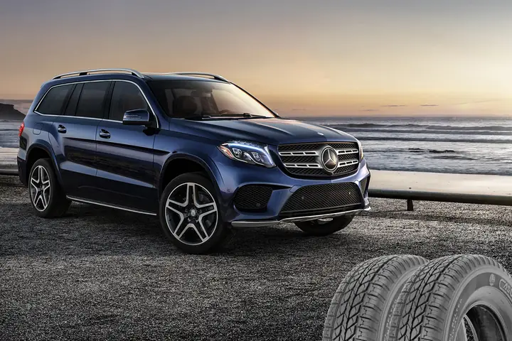 Hành Trình Casumina Phát ...