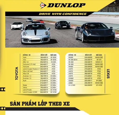 Lá»p Ã´ Tã´ 205/60r17 Dunlop Enasave Ec300+