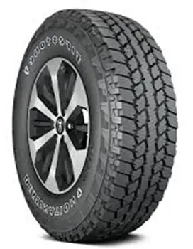 Firestone Destination Le 2