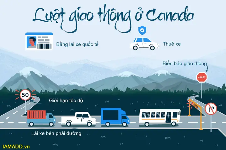 Luật Giao Thông Ở Canada Mới Nhất 2020 Cho Xe Ô Tô