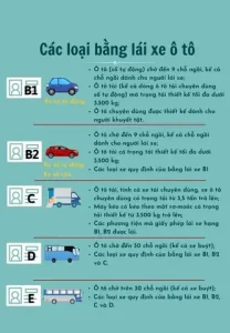 Các Loại Bằng Lái Xe Ô Tô Theo Quy Định Mới Nhất Tại Việt Nam