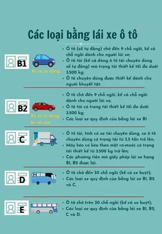 Các Loại Bằng Lái Xe Ô Tô Theo Quy Định Mới Nhất Tại Việt Nam