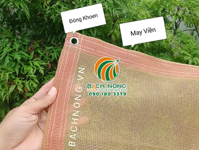 Phong Cách Và Tùy Chỉnh