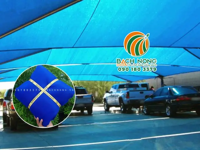 Bước 1: Chọn Lưới Phù Hợp