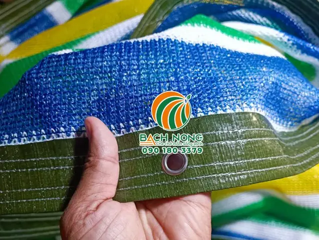 Phong Cách Và Tùy Chỉnh