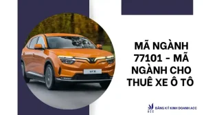 Cho Thuê Xe Ô Tô Đăng Ký Mã Ngành Nào? Tổng Hợp Quy Định Và Hướng Dẫn Chi Tiết