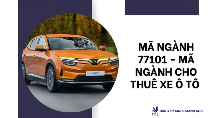 Cho Thuê Xe Ô Tô Đăng Ký Mã Ngành Nào? Tổng Hợp Quy Định Và Hướng Dẫn Chi Tiết