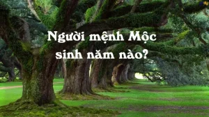 Năm Sinh Của Người Mệnh Mộc
