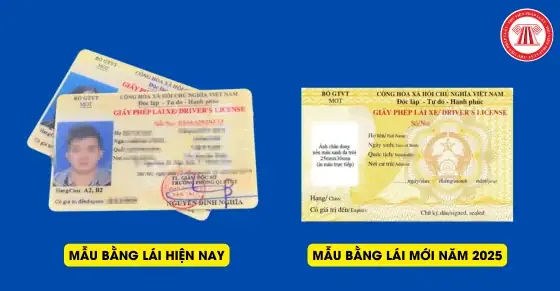 Tạithông Tư 35/2024/tt-bgtvtban Hành Ngày 15/11/2024, Đã Chính Thức Có Mẫu Bằng Lái Xe Mới Từ 01/01/2025, Và Áp Dụng Trong 01 Năm.