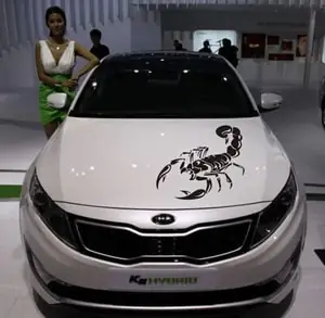 Tem Decal Bò Cạp Dán Trang Trí Xe Ô Tô Ms-102