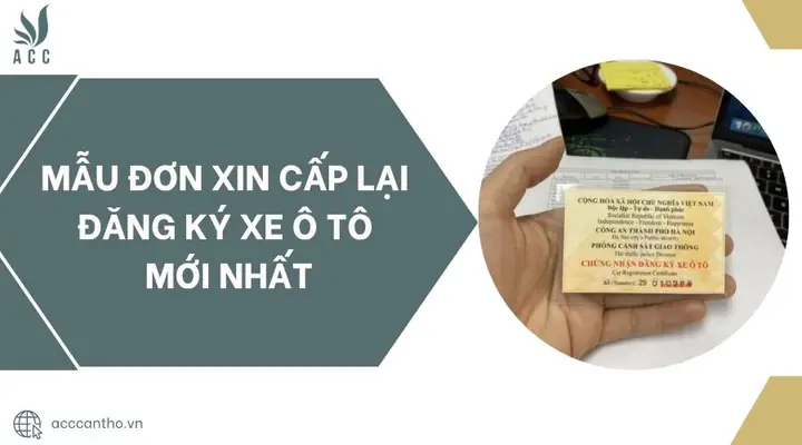 Mẫu Đơn Xin Cấp Lại Đăng Ký Xe Ô Tô Mới Nhất.jpg