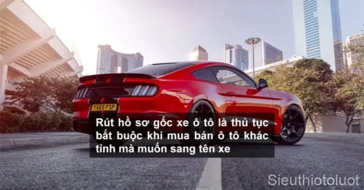 Cung Cấp Đúng Thông Tin Về Phương Tiện