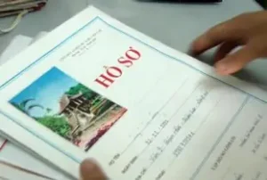 Giấy Phép Lái Xe Hạng B2 (số Sàn Và Số Tự Động)