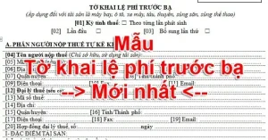 Mẫu Tờ Khai Thuế Trước Bạ Xe Ô Tô Mới Nhất Và Hướng Dẫn Chi Tiết