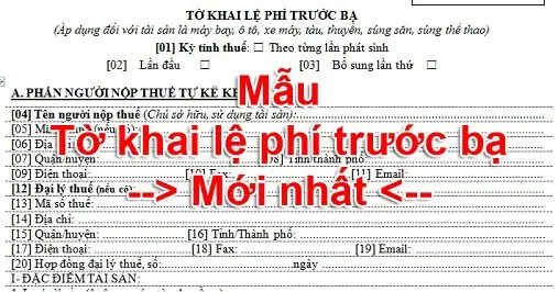 Mẫu Tờ Khai Thuế Trước Bạ Xe Ô Tô Mới Nhất Và Hướng Dẫn Chi Tiết
