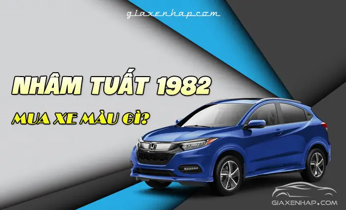 Nam/nữ Tuổi Nhâm Tuất 1982 Mua Xe Ô Tô Hợp Màu Gì?