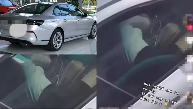 Các Loại Xe Có Không Gian Rộng Rãi: Suv & Mpv