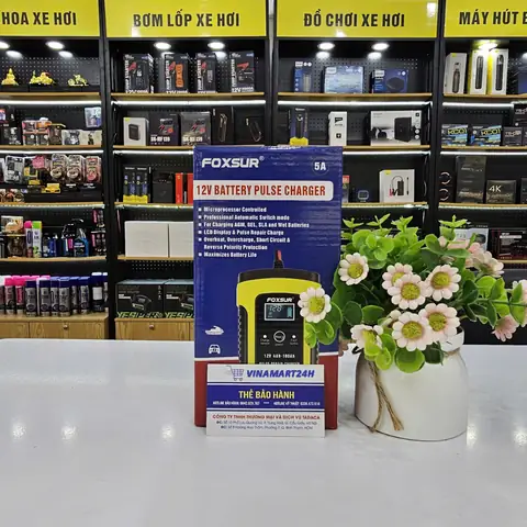 Chúng Ta Nên Mua Bộ Sạc Ắc Quy Foxsur 12v 100ah Ở Đâu Uy Tín ?