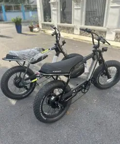 Xe Điện Vinfast Dragon Fly