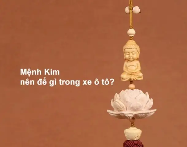 Mệnh Kim Nên Để Gì Trong Xe Ô Tô?
