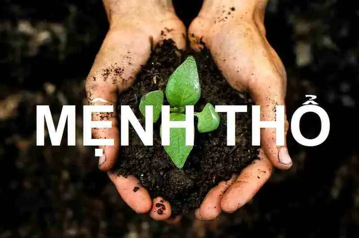 Mệnh Thổ Nên Chọn Chất Liệu Vật Phong Thủy Như Thế Nào?