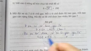 Một Đội Xe Có 7 Ô Tô Chở Gạo: Giải Bài Toán Thực Tế Bằng Hai Cách