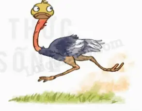 Một Ô Tô Và Một Xe Máy Cùng Xuất Phát