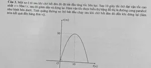 Một Xe Ô Tô Sau Khi Chờ Hết Đèn Đỏ Đã Bắt Đầu Chuyển Động Như Thế Nào?