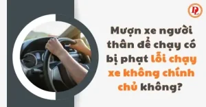 Mượn Xe Ô Tô Có Bị Phạt Không