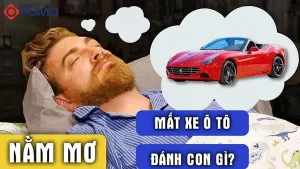 Giải Mã Giấc Mơ Mất Xe Ô Tô: Ý Nghĩa, Tâm Lý Và Cách Hóa Giải
