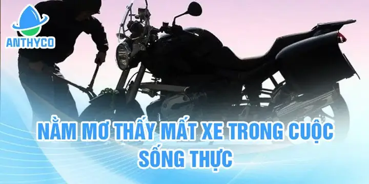 Giải Mã Giấc Mơ Mất Xe Ô Tô: Ý Nghĩa, Tâm Lý Và Cách Hóa Giải