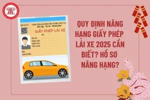 Quy Định Nâng Hạng Giấy Phép Lái Xe 2025 Cần Biết?