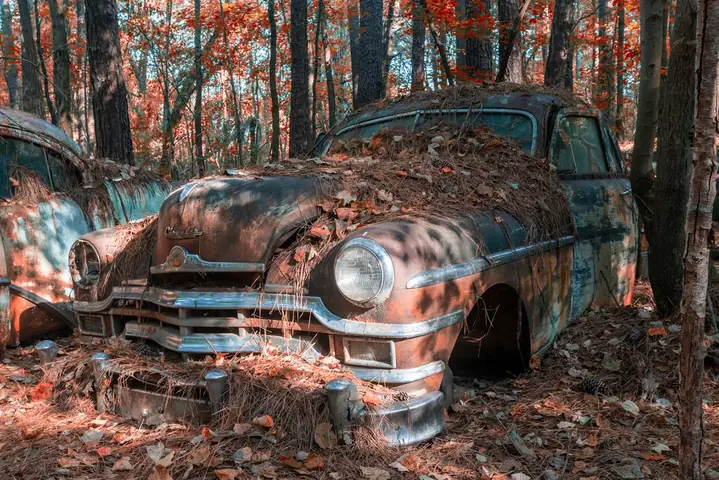 Những Nghĩa Địa Xe Hơi Ẩn Mình Trong Rừng Rậm Hút Khách