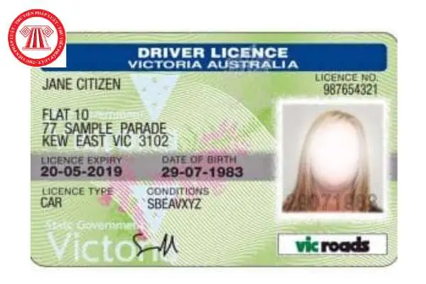 Giấy Phép Lái Xe Nước Ngoài Được Phép Sử Dụng Tại Việt Nam Không?