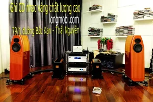 Chất Lượng Của Usb Nhạc Vàng?