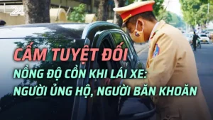 Quy Định Về Nồng Độ Cồn Khi Lái Xe Ô Tô Tại Việt Nam