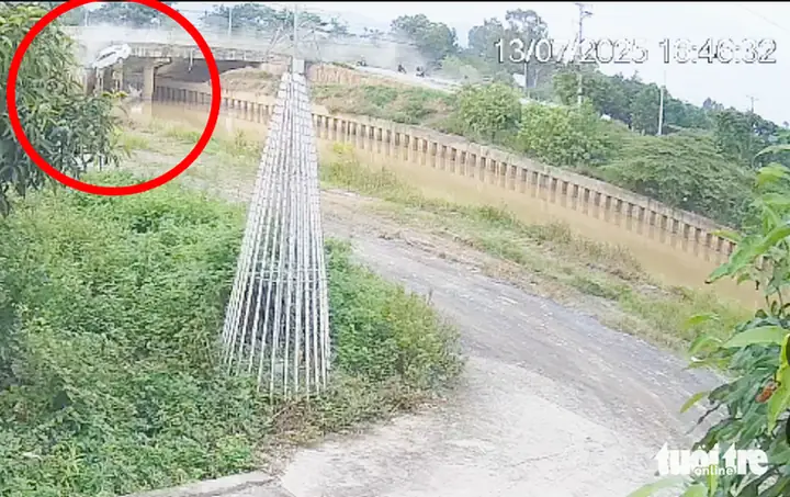 Ai Là Người Cầm Lái Ô Tô?