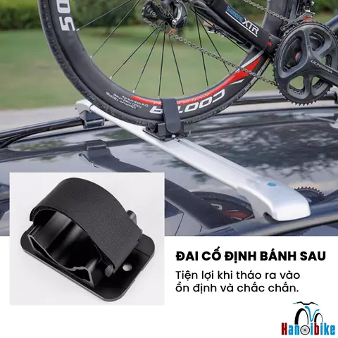 Ô Tô Và Xe Đạp