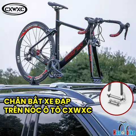 Ô Tô Và Xe Đạp