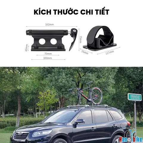 Ô Tô Và Xe Đạp