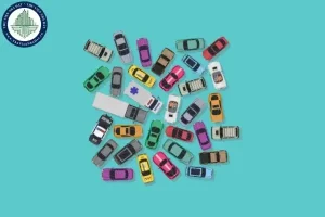 Phân Loại Xe Ô Tô Theo Mục Đích Sử Dụng: Hướng Dẫn Chi Tiết Từ 01/01/2025