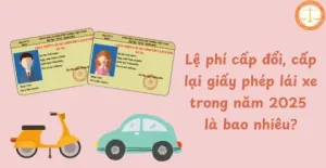 Phí Cấp Lại Bằng Lái Xe Ô Tô: Hướng Dẫn Chi Tiết, Bảng Giá & Quy Trình 2025