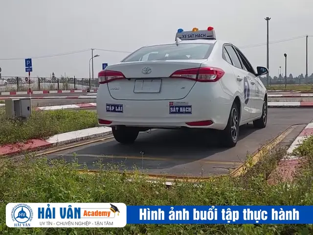 Đội Ngũ Giáo Viên Tận Tâm – Giảng Dạy Dễ Hiểu, Phù Hợp Cho Cả Người Mới Bắt Đầu