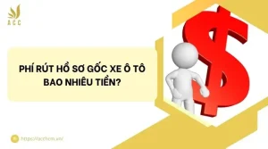 Phí Rút Hồ Sơ Xe Ô Tô 2025: Mức Thu, Quy Trình Và Kinh Nghiệm Thực Hiện